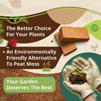 From Struggling to Thriving — Start With the Right Soil