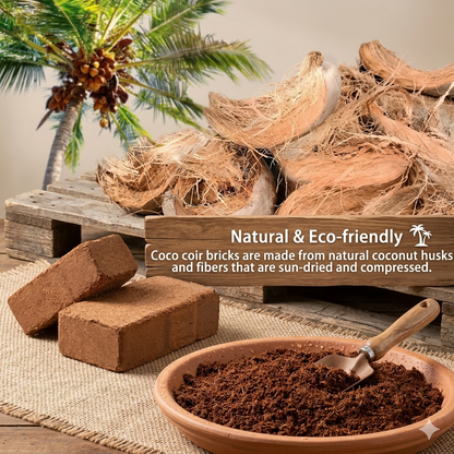 From Struggling to Thriving — Start With the Right Soil