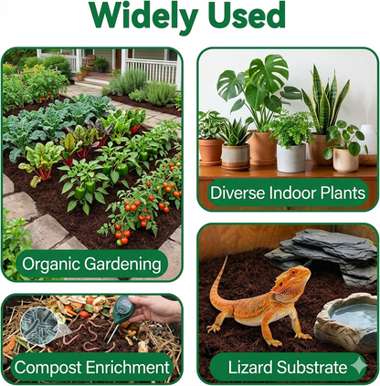 From Struggling to Thriving — Start With the Right Soil